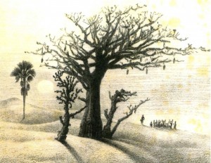 Bamboula du soir dans les dunes – Février 74 - JX1953