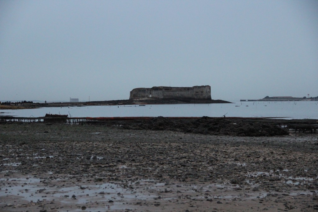 Fort Enet à marée basse depuis la pointe de la fumée à Fouras - à droite l'île d'Aix - à Gauche le fort boyard à l'horizon - JX1953