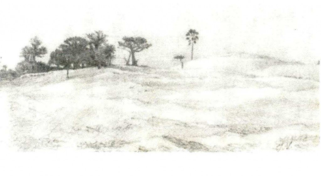 Un coin des dunes de dakar par où on passe pour aller au grand arbre - JX1953