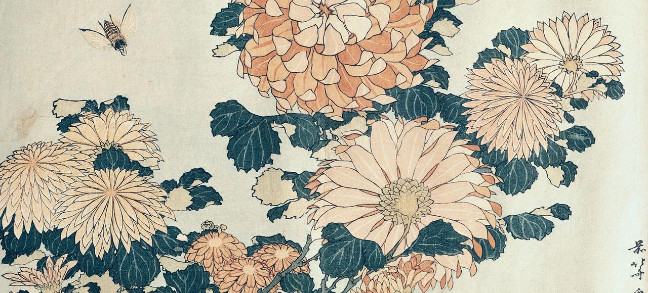 Chrysanthemums (colour woodblock print)